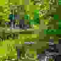 broken image