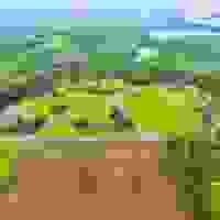 broken image