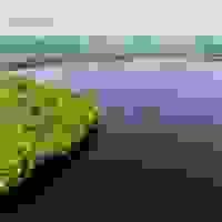 broken image