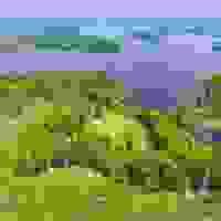 broken image