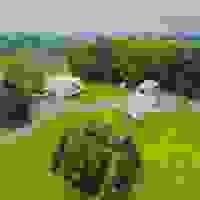 broken image