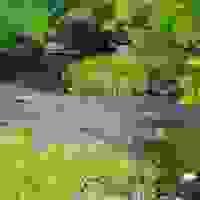 broken image