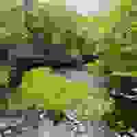 broken image