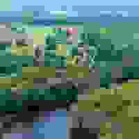 broken image