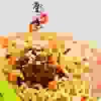 broken image