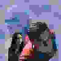 broken image