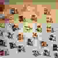 broken image