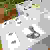 KULP (TR)