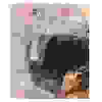 夢想 / Daydream 