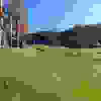 broken image