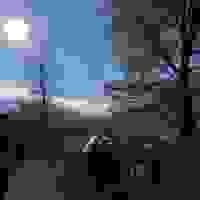 broken image