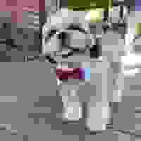 broken image