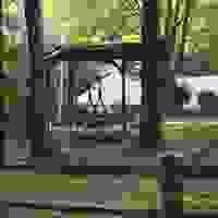 broken image