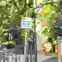 broken image