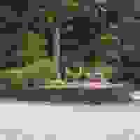 broken image