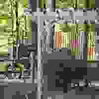 broken image