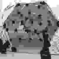broken image