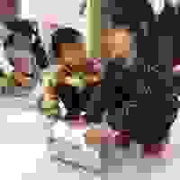 broken image