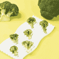 High-quality selection of freeze dried food wholesale options.