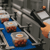 gmp in food industry key principles visualization