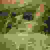 broken image