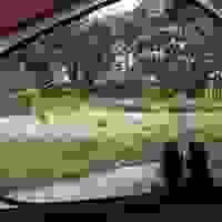 broken image