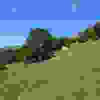 broken image