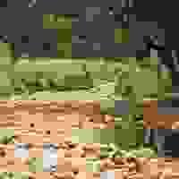 broken image