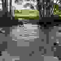 broken image