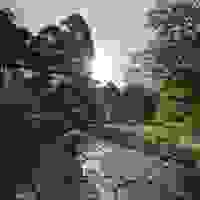 broken image