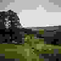 broken image