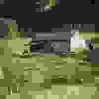 broken image
