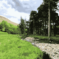 Pine Island, one of our Wild Spaces available to book on CampWild.uk