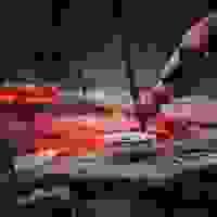 broken image