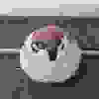 TORIMERO