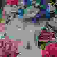 ajico