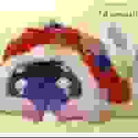 broken image