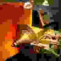 broken image