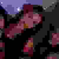 broken image
