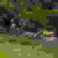 broken image