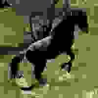 broken image