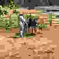 broken image