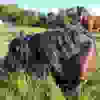 broken image