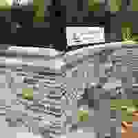 broken image