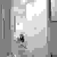 broken image