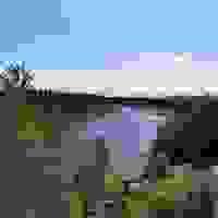 broken image