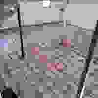 broken image