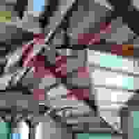 broken image
