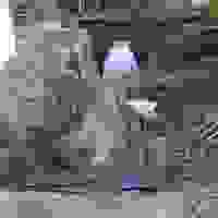 broken image
