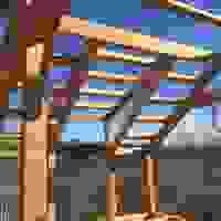 broken image